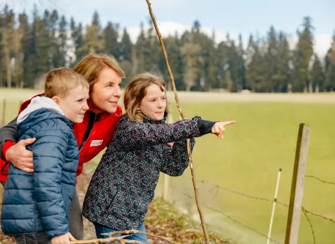 Kinderbetreuung die Kinder auf Feld betreut und Natur beobachtet